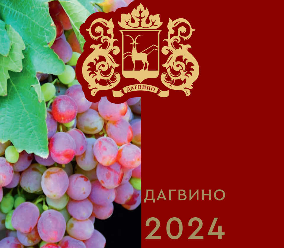 Ежегодный журнал "Дагвино 2024"