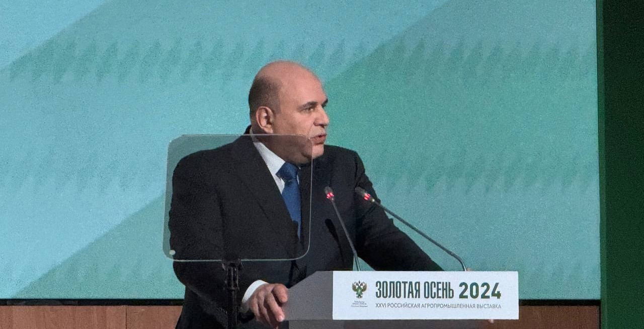 Золотая осень 2024