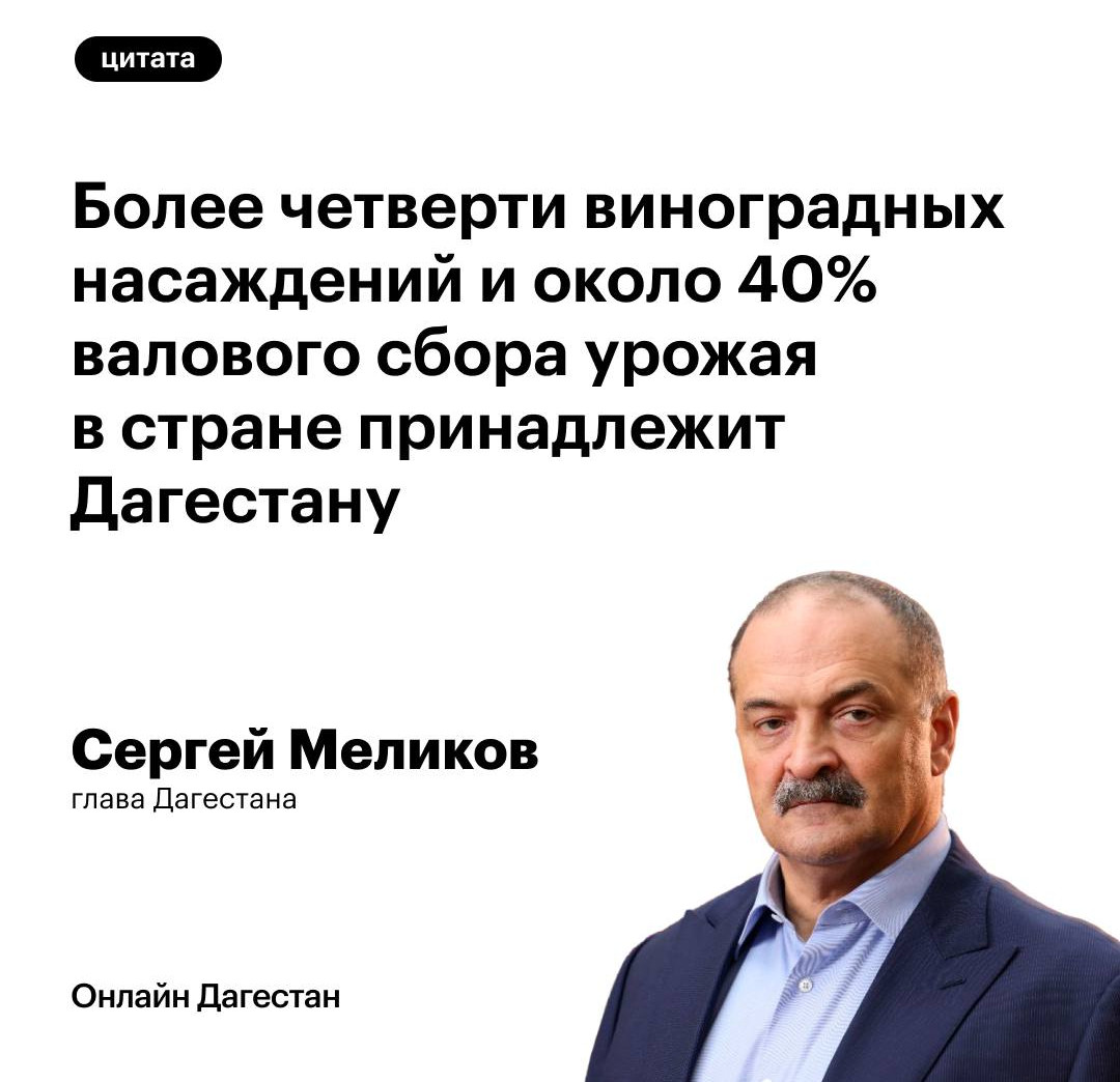 Более четверти виноградных насаждений России принадлежат Дагестану