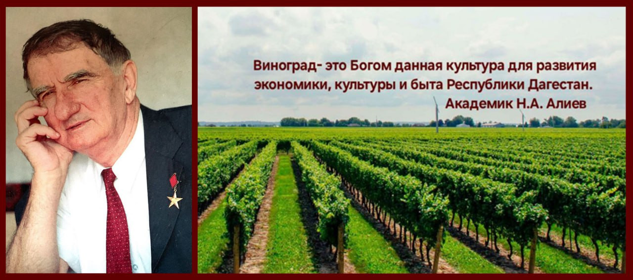 22 декабря 2025 года исполнится 95 лет со дня рождения Алиева Наримана Абдулхаликовича