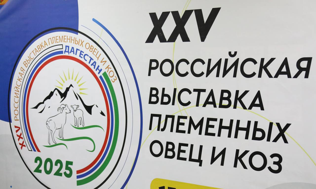 Ярмарка традиций: XXV Российская выставка племенных овец и коз!
