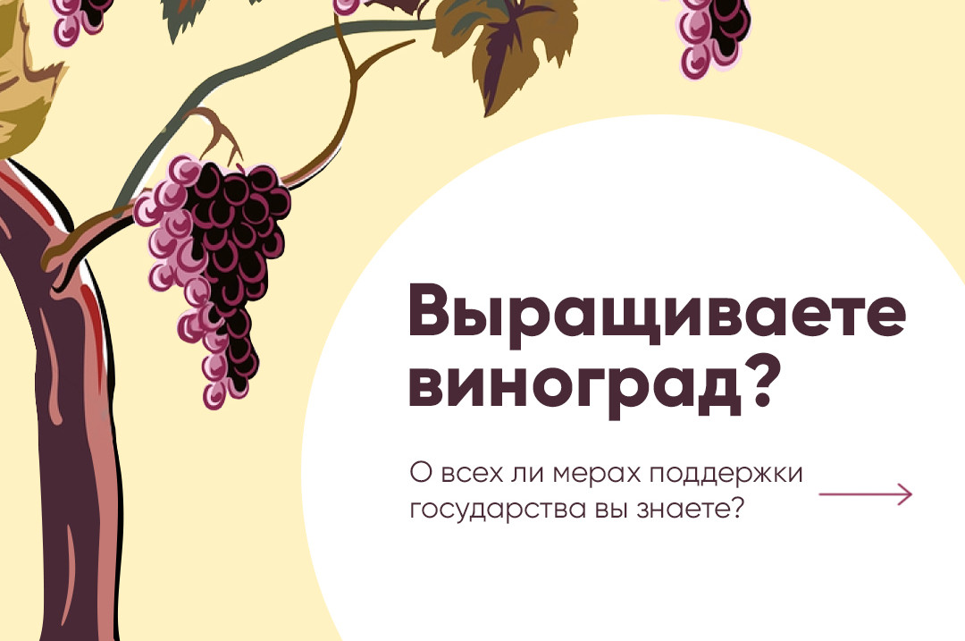 Поддержка виноградарства